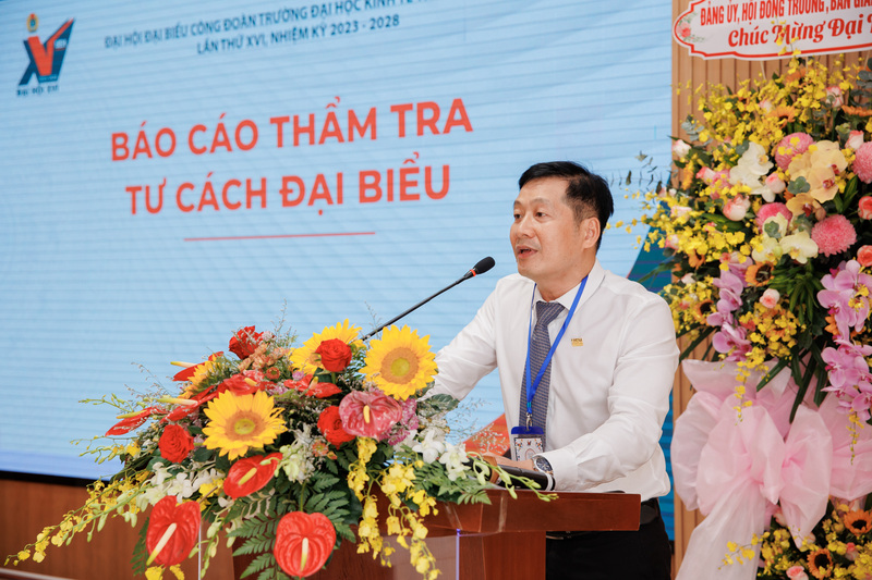 cá cược thể thao hul city